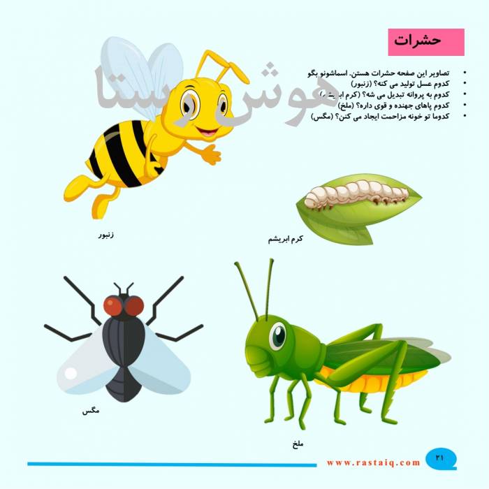 جانوران (هوش و مفاهیم پایه)