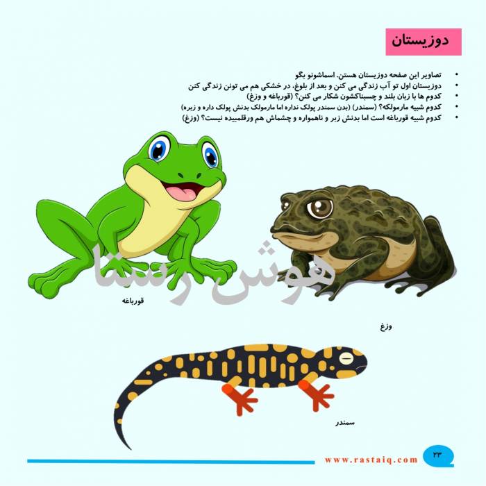 جانوران (هوش و مفاهیم پایه)