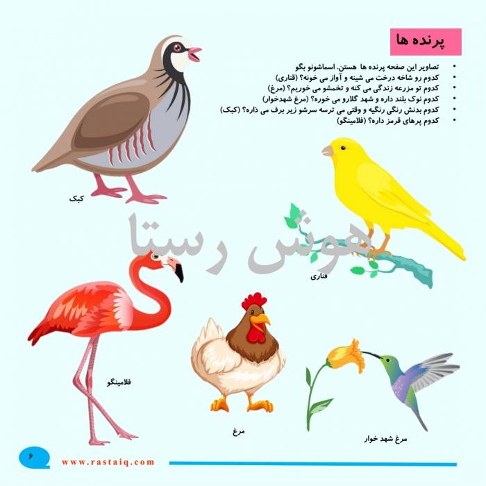 هوش و مفاهیم پایه