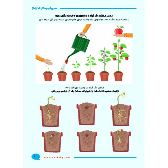 علوم پیش دبستانی